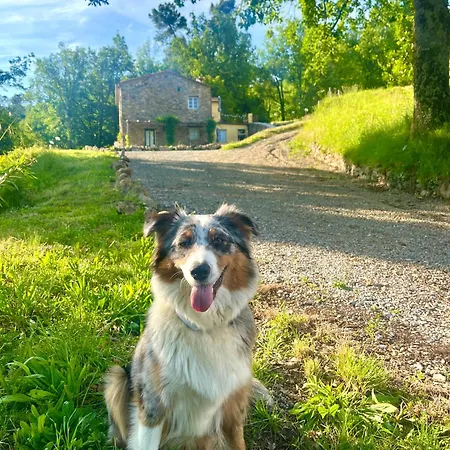 Casa Valle *